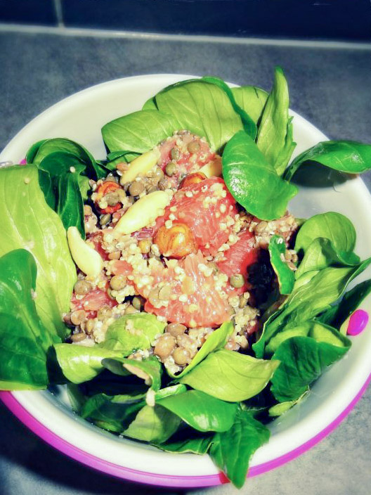 Salade de lentilles vertes, et quinoa au pamplemousse - Bienvenue chez vero (1)