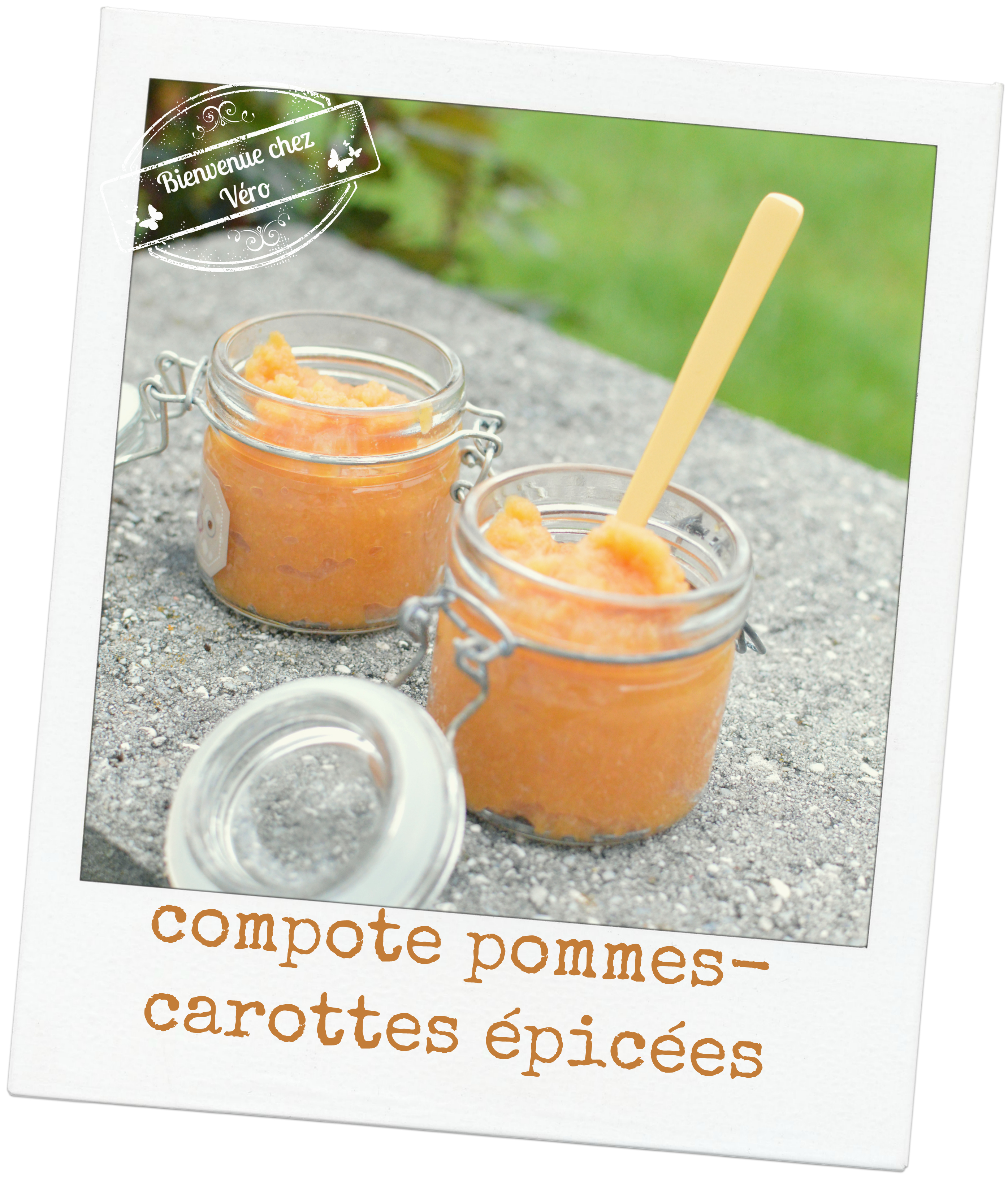 DSC_3516 compote de pommes aux carottes épicées