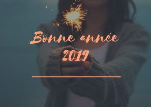 Bonne année 2019 - Bienvenuechezvero.fr
