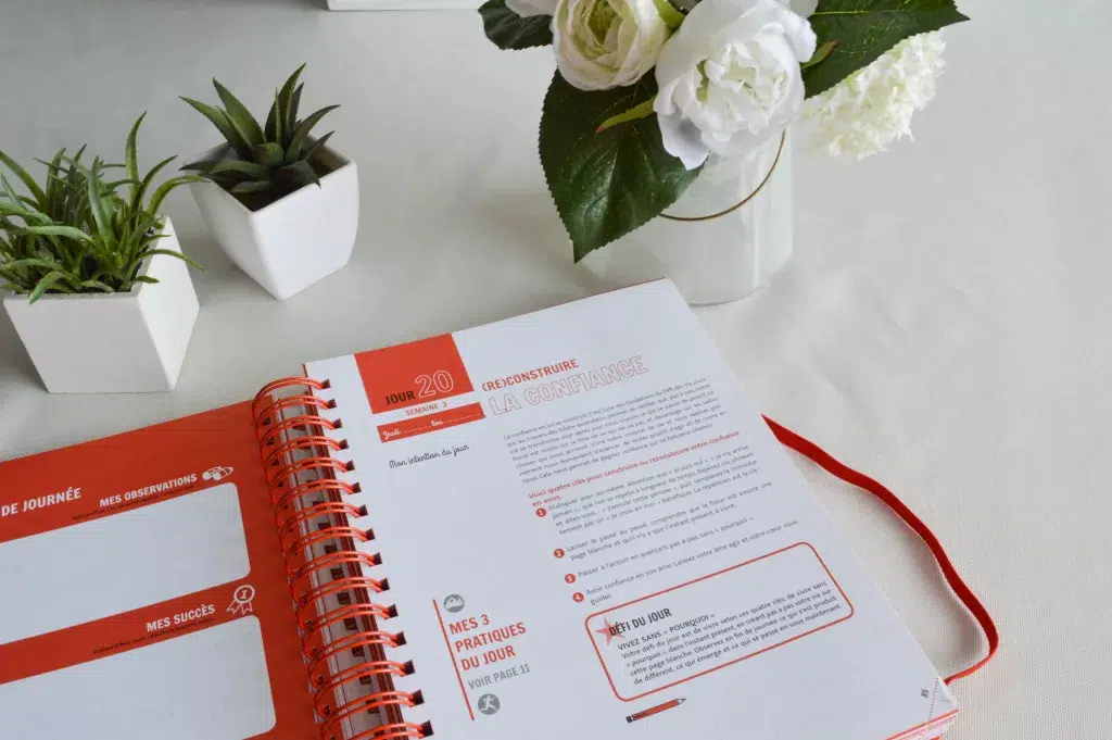 Comment trouver sa mission de vie avec le défi des 100 jours de Lilou Macé - Bienvenue chez vero