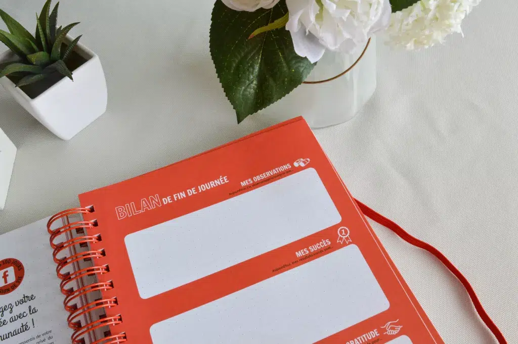 Comment trouver sa mission de vie avec le défi des 100 jours de Lilou Macé - Bienvenue chez vero