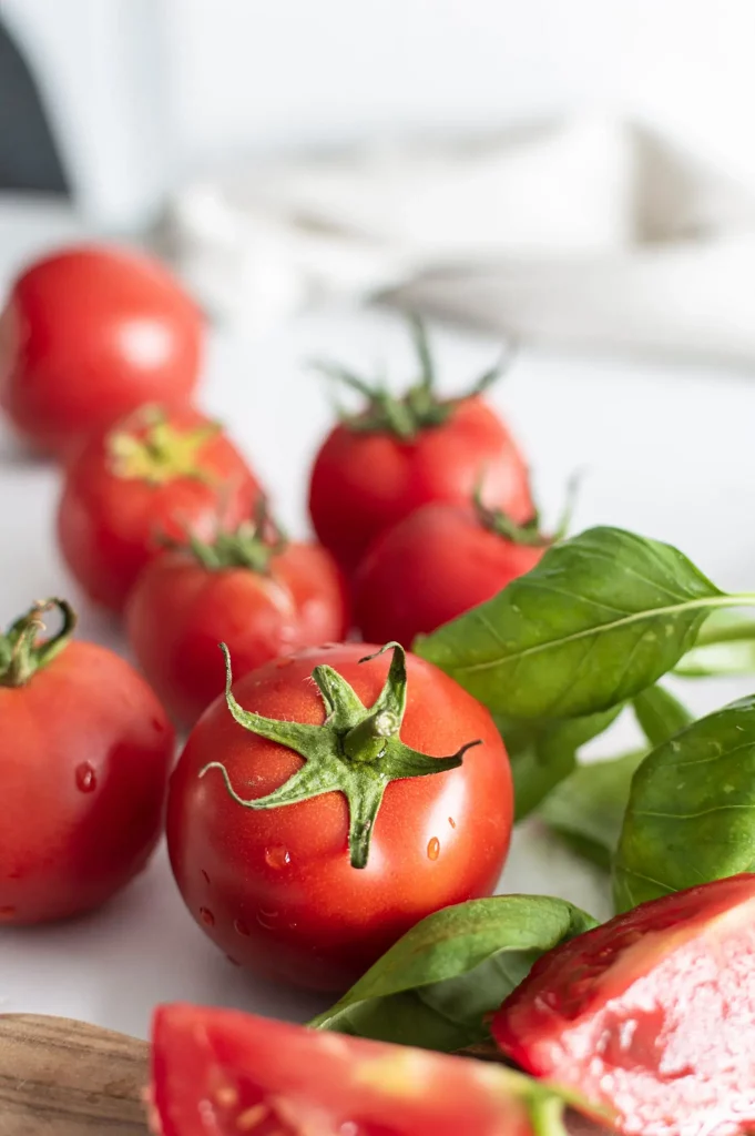 Tomates et basilic frais