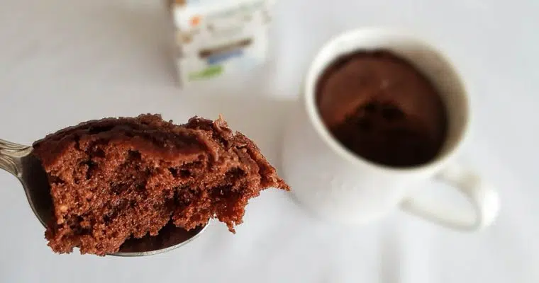Mug cake Choco-coco à IG Bas : un dessert sain et gourmand