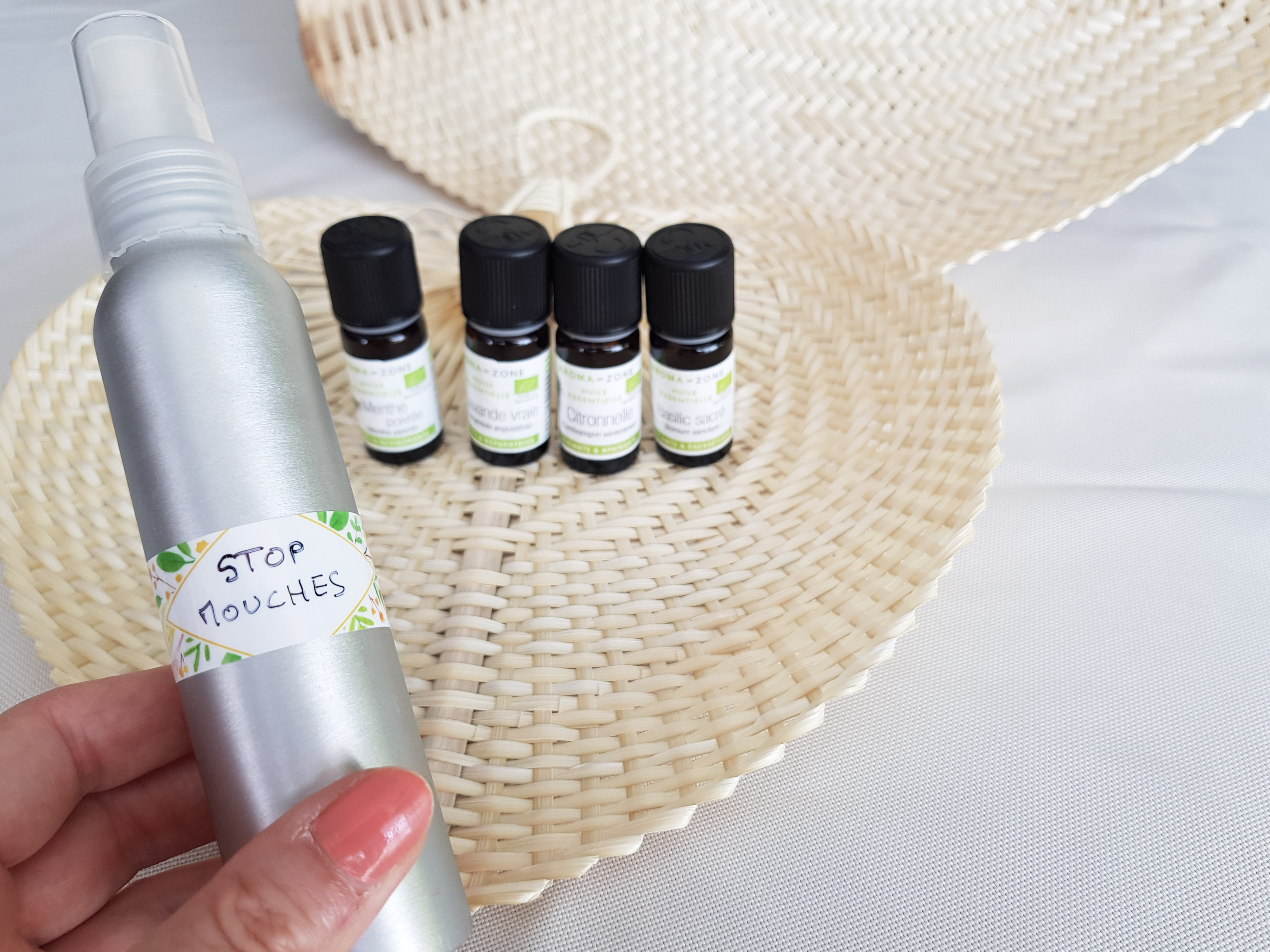 Repulsif Pour Mouche Fait Maison | Ventana Blog