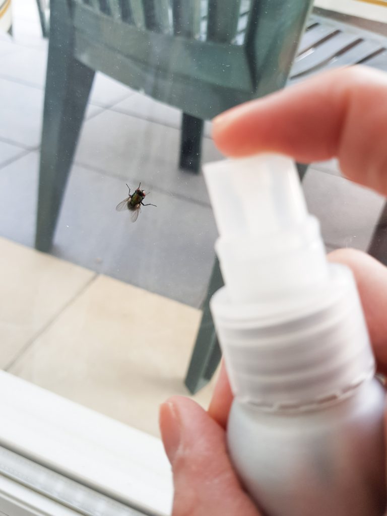Comment réaliser son répulsif mouches soi-même - Huiles essentielles - Bienvenue chez vero