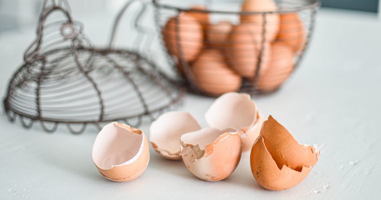 5 Astuces zéro déchet pour utiliser les coquilles d’œufs