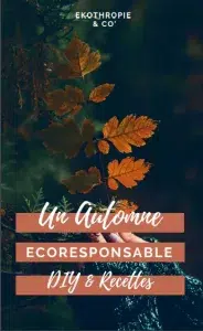 Un automne ecoresponsable DIY et recettes