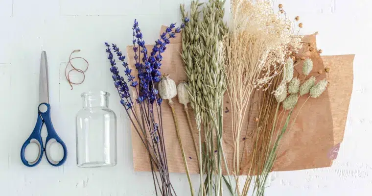 Mon avis sur les Fleurs Séchées éco-responsables Flowrette