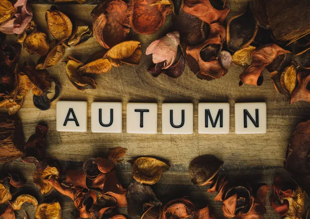 Lutter contrer le blues de l'Automne