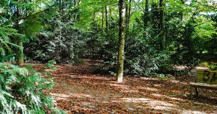 5 Astuces Pour Lutter Contre Le Blues De l’Automne