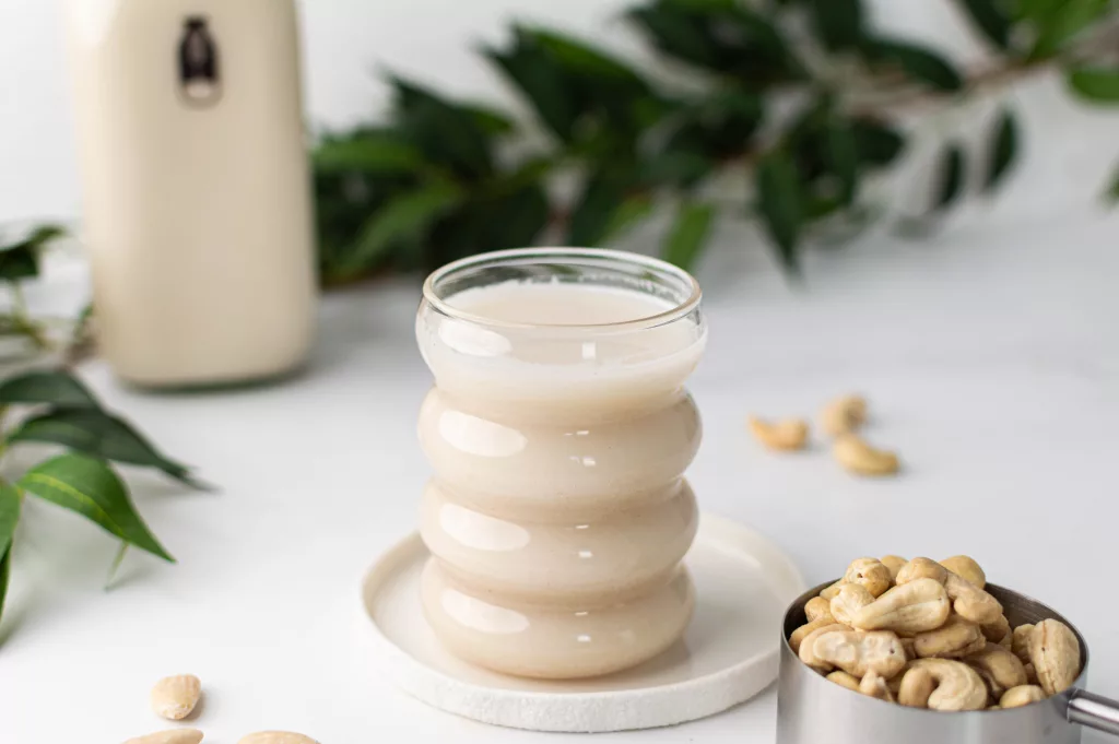 Machine à lait végétal